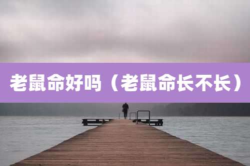 老鼠命好吗（老鼠命长不长）