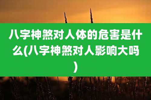 八字神煞对人体的危害是什么(八字神煞对人影响大吗)