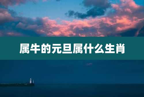 属牛的元旦属什么生肖