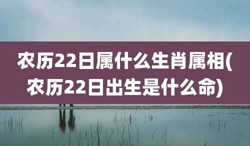 农历22日属什么生肖属相(农历22日出生是什么命)