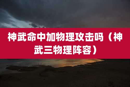 神武命中加物理攻击吗（神武三物理阵容）