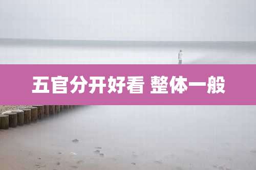 五官分开好看 整体一般