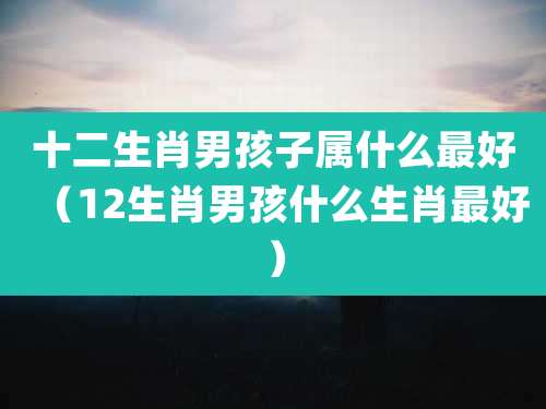 十二生肖男孩子属什么最好（12生肖男孩什么生肖最好）