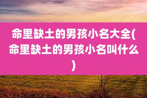 命里缺土的男孩小名大全(命里缺土的男孩小名叫什么)