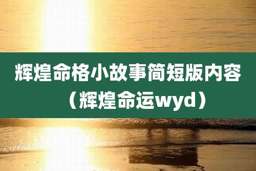 辉煌命格小故事简短版内容（辉煌命运wyd）