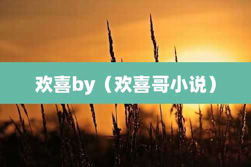 欢喜by（欢喜哥小说）
