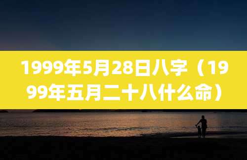 1999年5月28日八字（1999年五月二十八什么命）