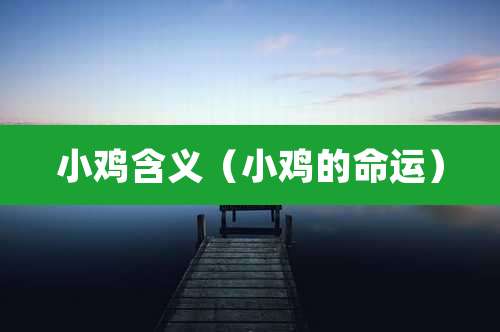 小鸡含义（小鸡的命运）