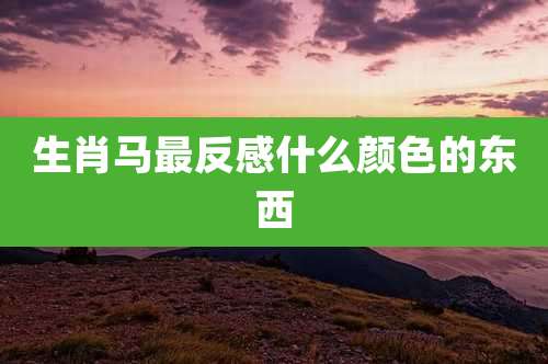 生肖马最反感什么颜色的东西