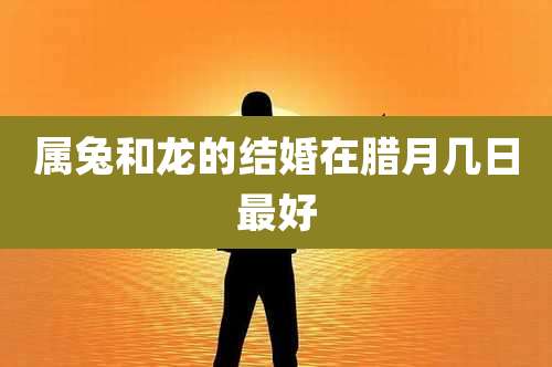 属兔和龙的结婚在腊月几日最好