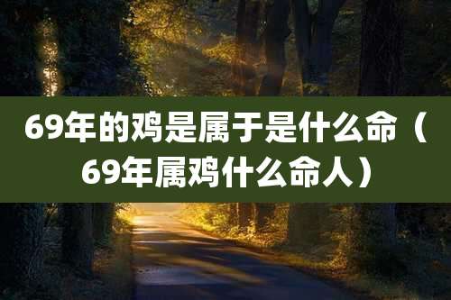 69年的鸡是属于是什么命（69年属鸡什么命人）