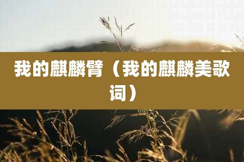 我的麒麟臂（我的麒麟美歌词）