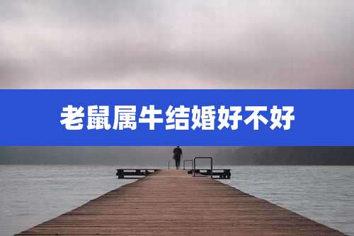 老鼠属牛结婚好不好
