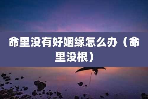 命里没有好姻缘怎么办（命里没根）