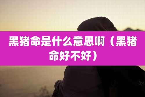 黑猪命是什么意思啊(黑猪命好不好)