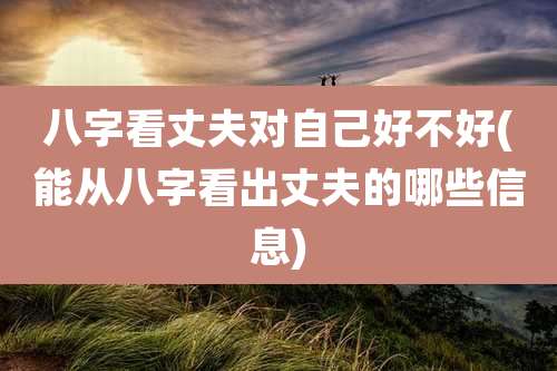 八字看丈夫对自己好不好(能从八字看出丈夫的哪些信息)
