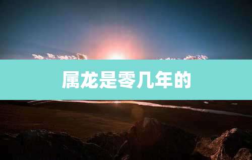 属龙是零几年的