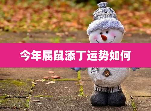 今年属鼠添丁运势如何