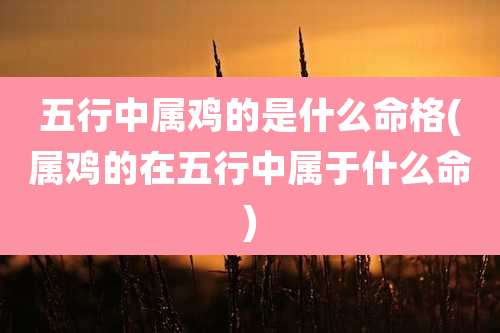 五行中属鸡的是什么命格(属鸡的在五行中属于什么命)