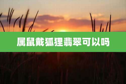 属鼠戴狐狸翡翠可以吗