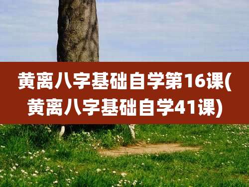 黄离八字基础自学第16课(黄离八字基础自学41课)