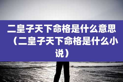 二皇子天下命格是什么意思（二皇子天下命格是什么小说）