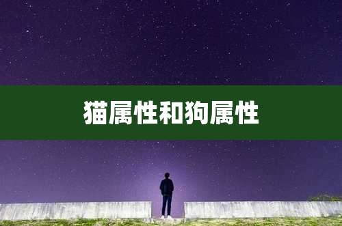 猫属性和狗属性