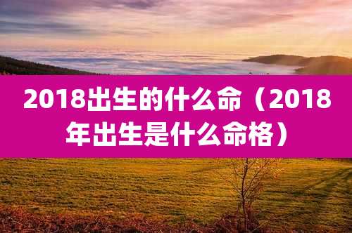 2018出生的什么命（2018年出生是什么命格）