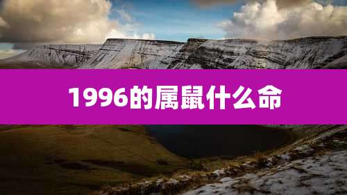 1996的属鼠什么命
