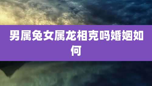 男属兔女属龙相克吗婚姻如何