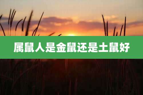 属鼠人是金鼠还是土鼠好