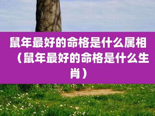鼠年最好的命格是什么属相（鼠年最好的命格是什么生肖）