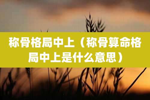 称骨格局中上(称骨算命格局中上是什么意思)