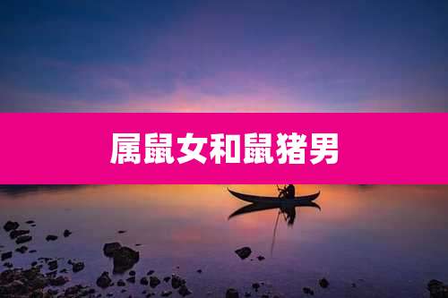 属鼠女和鼠猪男