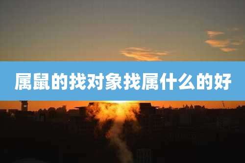 属鼠的找对象找属什么的好