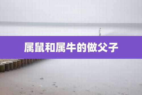 属鼠和属牛的做父子