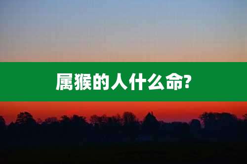 属猴的人什么命?