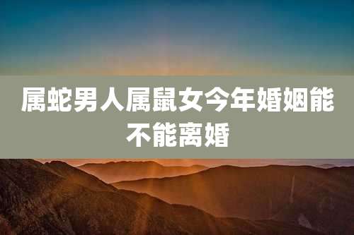 属蛇男人属鼠女今年婚姻能不能离婚