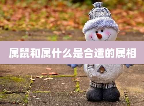 属鼠和属什么是合适的属相