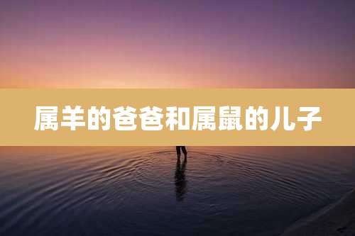 属羊的爸爸和属鼠的儿子