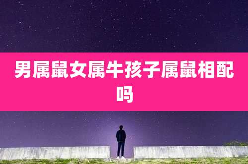 男属鼠女属牛孩子属鼠相配吗