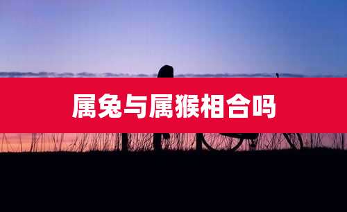 属兔与属猴相合吗