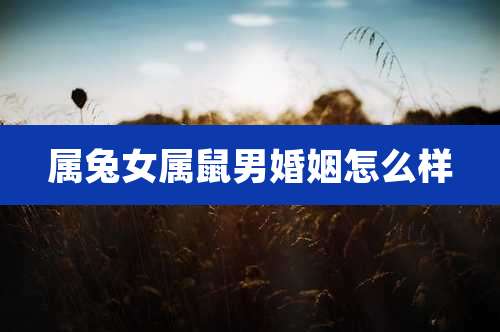 属兔女属鼠男婚姻怎么样