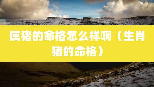 属猪的命格怎么样啊（生肖猪的命格）