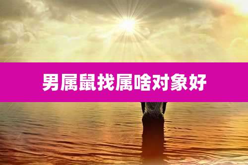 男属鼠找属啥对象好