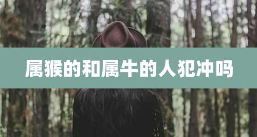 属猴的和属牛的人犯冲吗