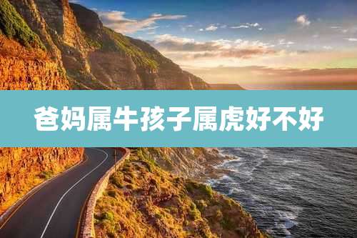 爸妈属牛孩子属虎好不好