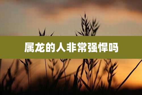属龙的人非常强悍吗