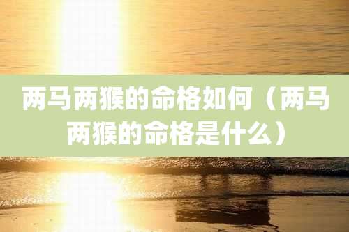 两马两猴的命格如何（两马两猴的命格是什么）