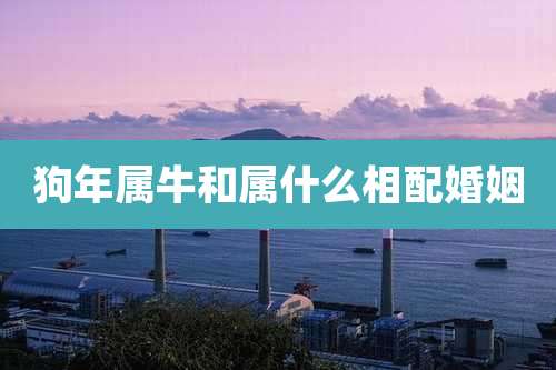 狗年属牛和属什么相配婚姻